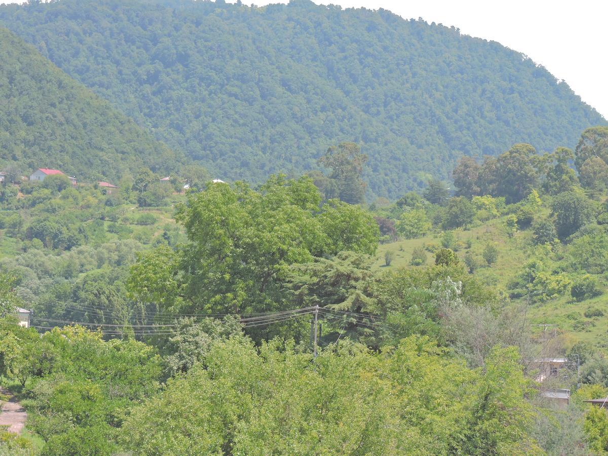 Guesthouse U Moti New Athos ภายนอก รูปภาพ